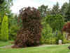 Arboretum_de_Concord_12.jpg (69910 bytes)