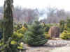 Bickelhaupt.Arboretum1.jpg (38659 bytes)