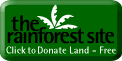 Rainforest_site.gif (2960 bytes)